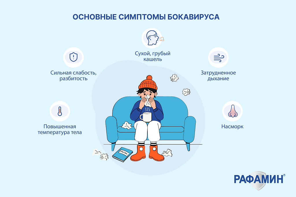 Основные симптомы бокавируса 